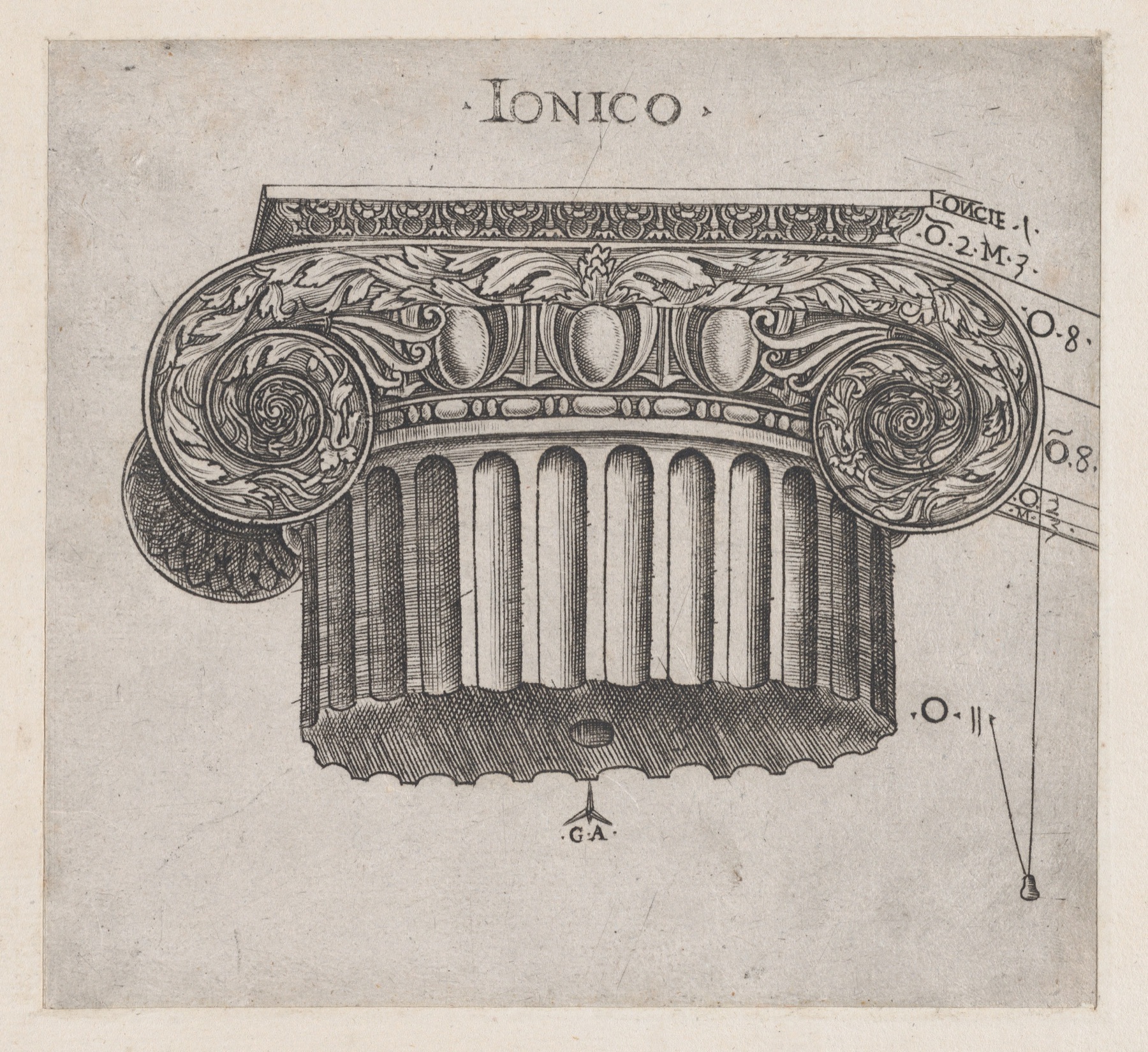 Engraved spiral of an Ionic capital, close up